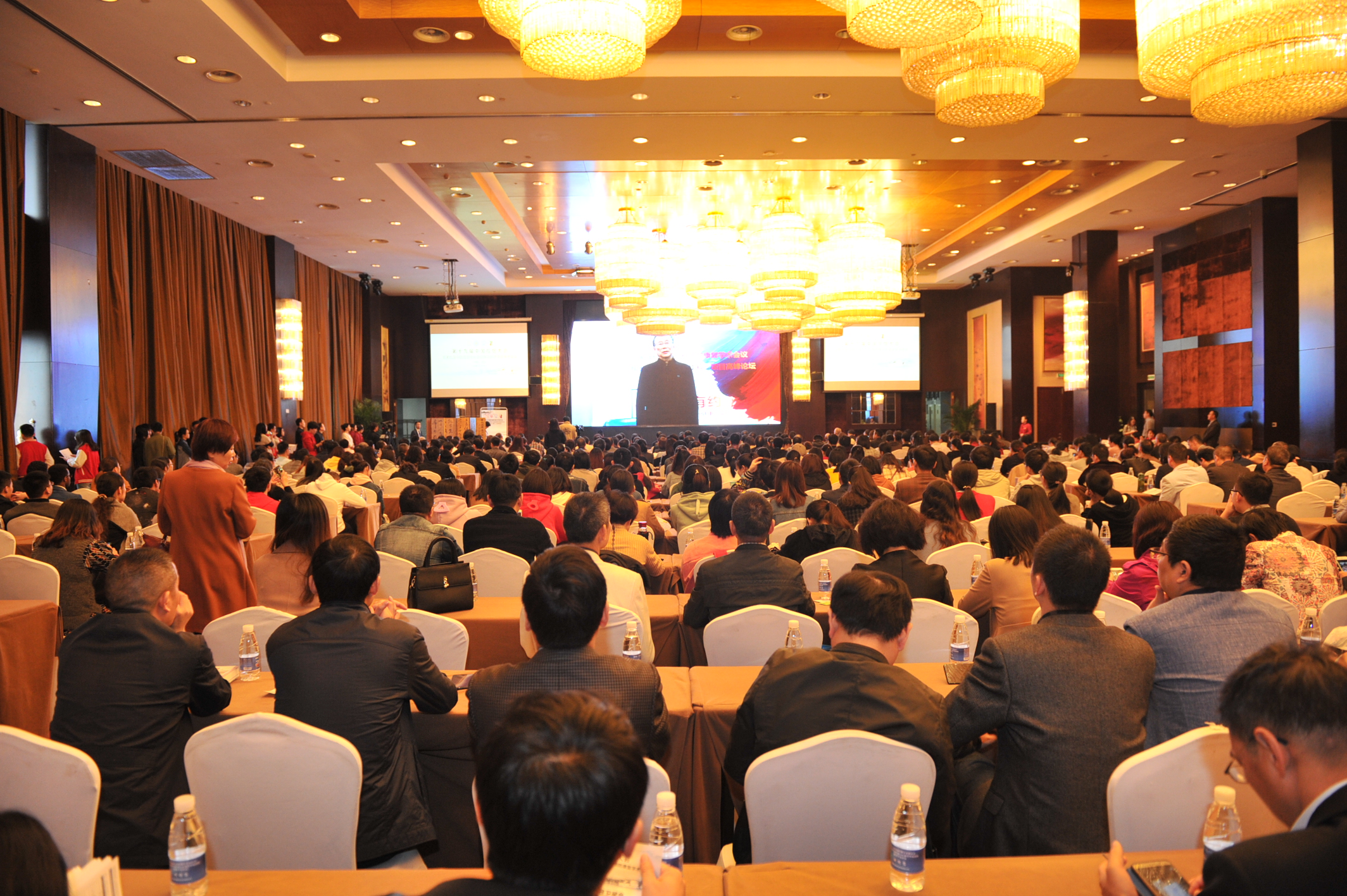 #DSC_2442.JPG