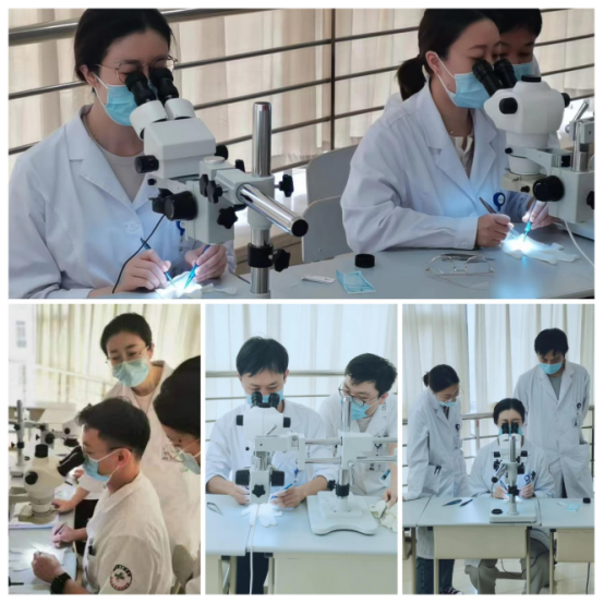 血管缝合比赛326.png