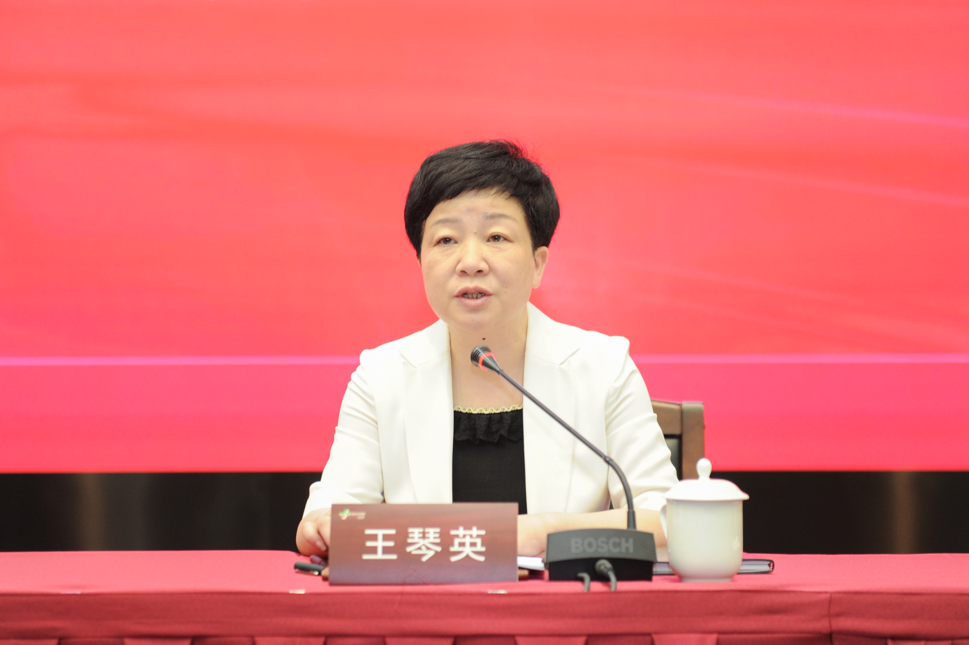 市委常委，组织部部长王琴英.jpg