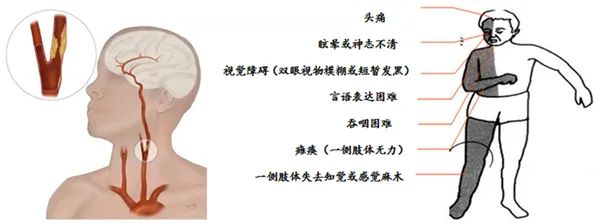 图片12.png