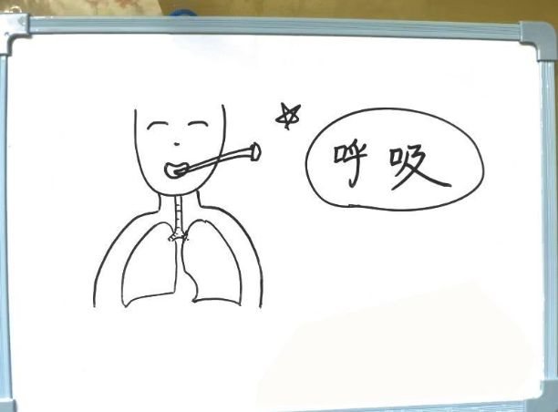 微信图片_20240603104243.png