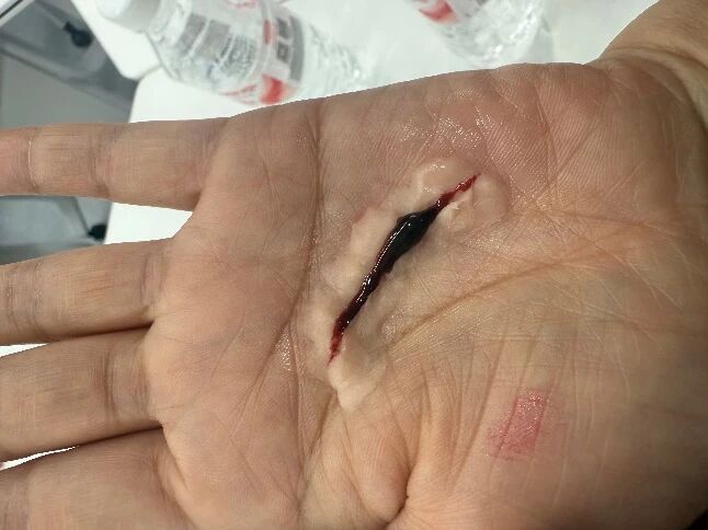 微信图片_2025-12-03_153105_480.jpg 微信图片_2025-12-03_153105_480.jpg