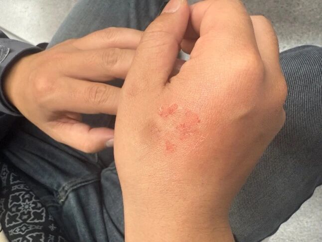 微信图片_2025-12-03_153111_673.jpg 微信图片_2025-12-03_153111_673.jpg